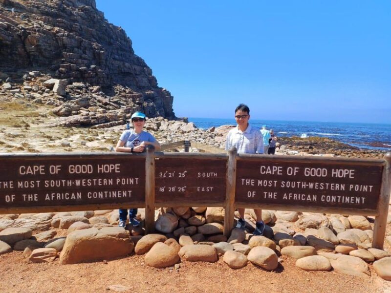 Cape Town Table Mountain Penguins & Cape Point All-inclusive - Encounter African Penguins