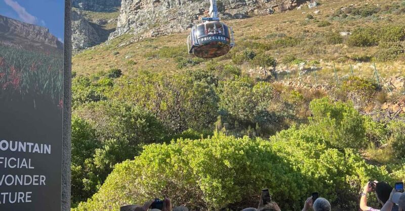 Cape Town: Table Mountain, Penguins & Cape Point Group Tour - The Grandeur of Table Mountain