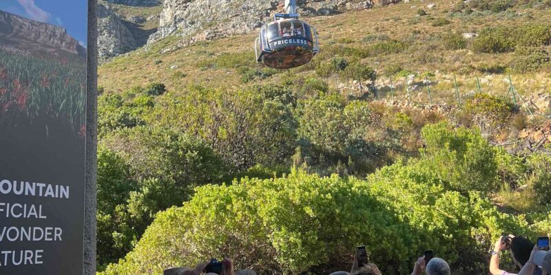 Cape Town: Table Mountain, Penguins & Cape Point Group Tour - What to Expect and Prepare For