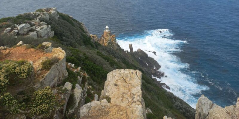 Cape Town to Cape Point: Full Day Guided Tour - Encounter Penguins at Boulders Beach