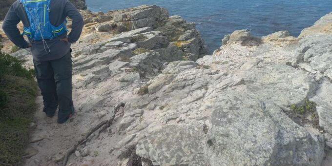 Cape Town to Cape Point: Full Day Guided Tour - Frequently Asked Questions