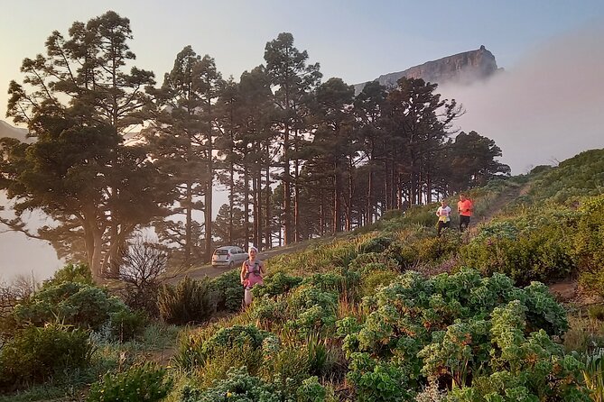Cape Town Trail Run Lions Head Signal Hill Morning - Reviews and Ratings Overview