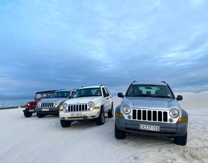 CAPE TOWN: ULTIMATE SANDBOARDING ATLANTIS DUNES WITH WILDX - Booking Details and Logistics