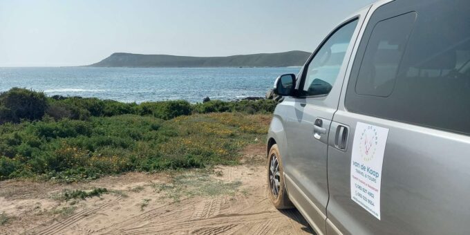 Cape Town: West Coast Full Day Tour - The Sum Up