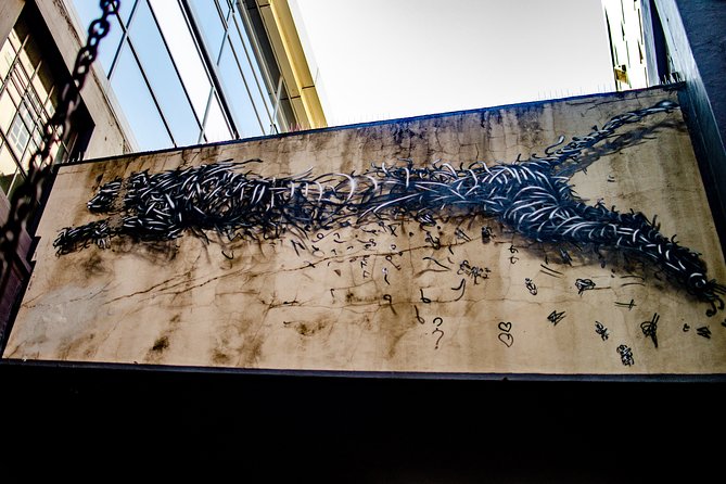 Cape Town Woodstock Street Art Walking Tour - Tour Inclusions