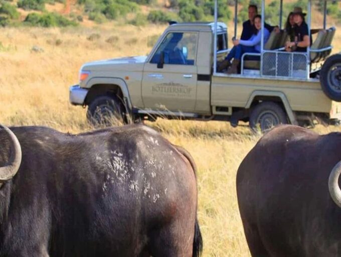 CAPE TOWN:PRIVATE SAFARI DRIVE AT AQUILA GAME RESERVE - Important Requirements for Booking