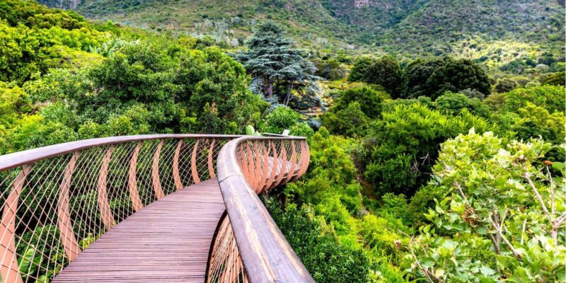 Cape Town:Robben Island ,Kirstenbosch Garden & Wine Tasting - Inclusions and Fees