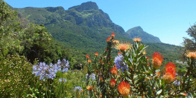 Cape Town:Robben Island ,Kirstenbosch Garden & Wine Tasting - Frequently Asked Questions
