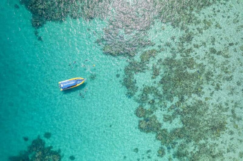 Cape Tribulation Ocean Safari - Great Barrier Reef Adventure - An Authentic Reef Adventure with a Personal Touch