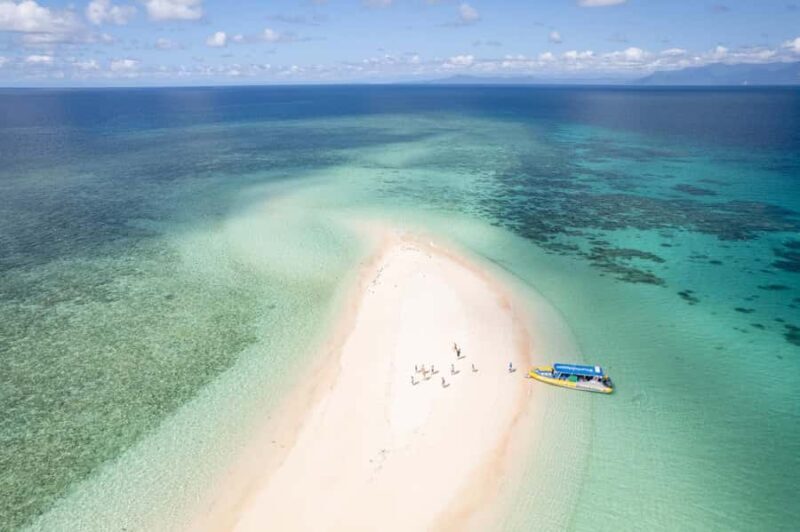 Cape Tribulation Ocean Safari - Great Barrier Reef Adventure - What to Expect in Practice