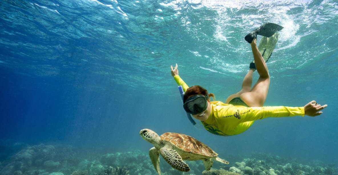 Cape Tribulation Ocean Safari Tour - Experience Highlights