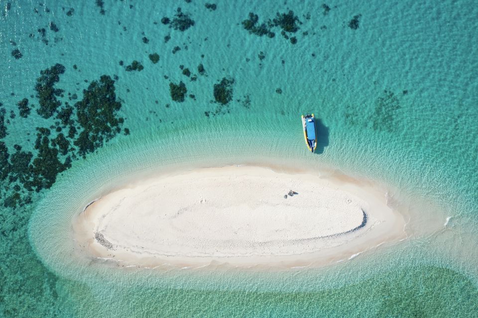 Cape Tribulation Ocean Safari Tour - Recap
