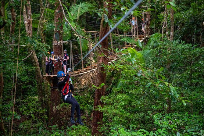 Cape Tribulation & Ziplining: Ultimate Daintree - The Journey Begins Early and Conveniently