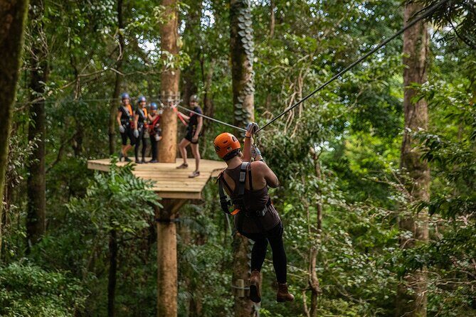 Cape Tribulation & Ziplining: Ultimate Daintree - Authentic Experiences and Visitor Feedback