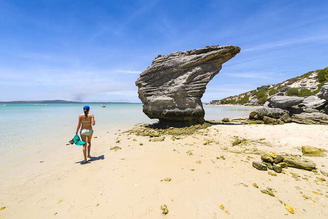 Cape West Coast Full Day Private Day Tour - Client Experiences