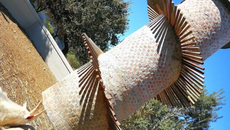 Cape Winelands Family Tour & Wildlife Encounter - Drakenstein Lion Park