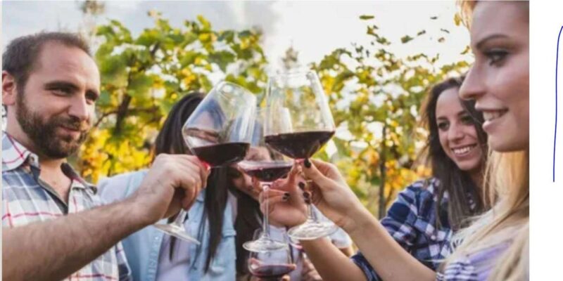 Cape Winelands Half Day Tour From Cape Town - Pickup and Accessibility