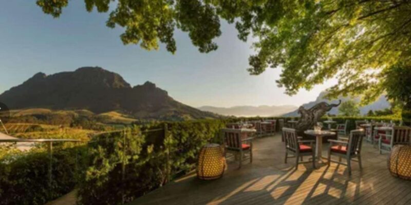 Cape Winelands Half Day Tour From Cape Town - Wine Tasting Experiences