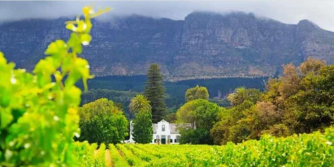 Cape Winelands Half Day Tour From Cape Town - Shopping Opportunities