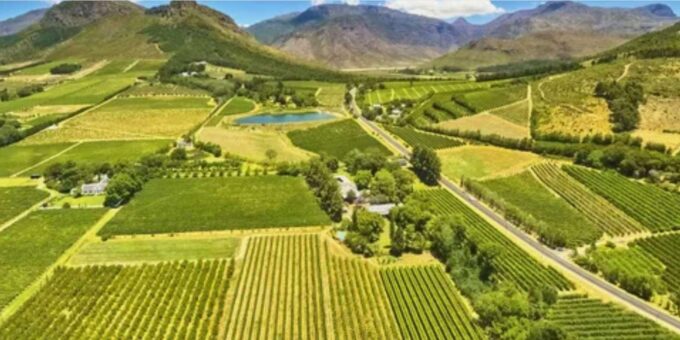 Cape Winelands Half Day Tour From Cape Town - Whats Included