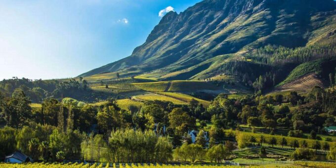 Cape Winelands Half Day Tour From Cape Town - Frequently Asked Questions