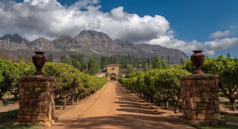 Cape Winelands Private Day Tour - Full Day. - Itinerary Highlights