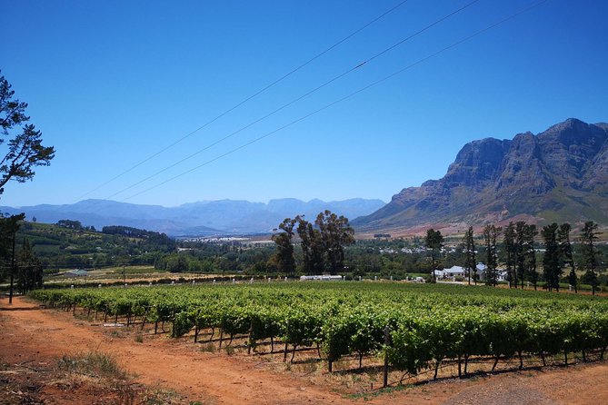 Cape Winelands Stellenbosch Franschhoek Paarl Tour From Cape Town - Guest Reviews and Ratings