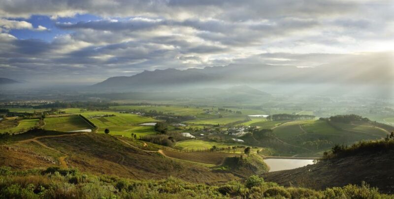 Capetown Winelands Half Day Tour With Local Guide - Good To Know