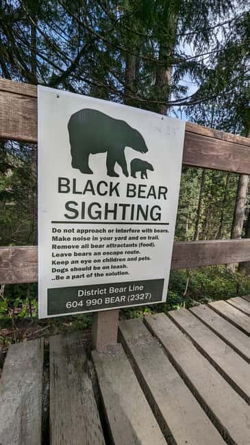 Capilano Br+Granville Isl+Capilano Hatchery+Lynn Canyon Tour - Whats Included and Why It Matters