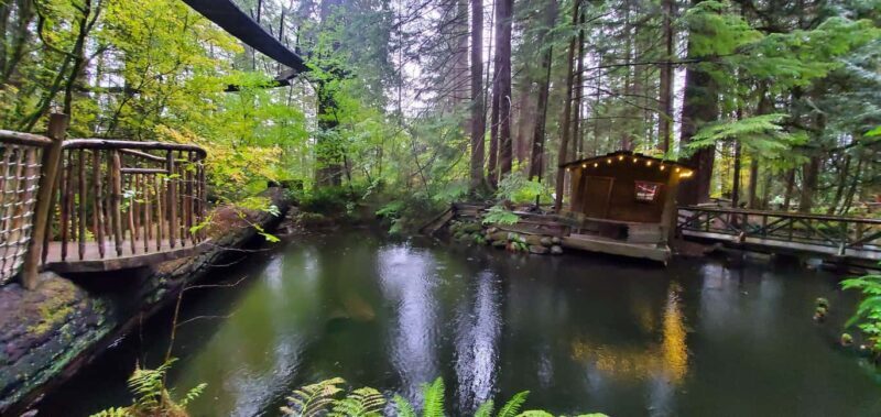 Capilano Br+Granville Isl+Capilano Hatchery+Lynn Canyon Tour - Authentic Experiences and Guest Feedback
