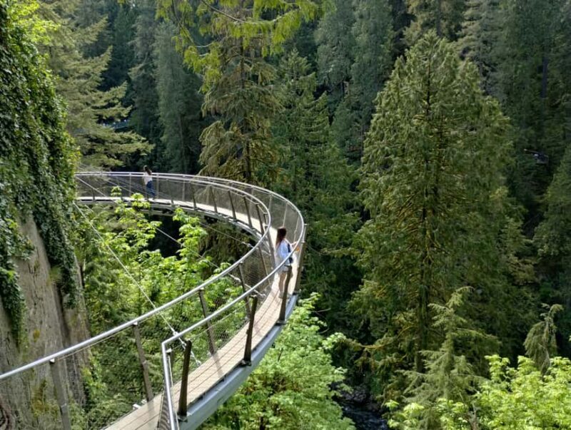Capilano Br+Grouse Mtn+Dam+Lake&Hatcher/5in1/Small Group/Car - A Deep Dive into the Tour Experience