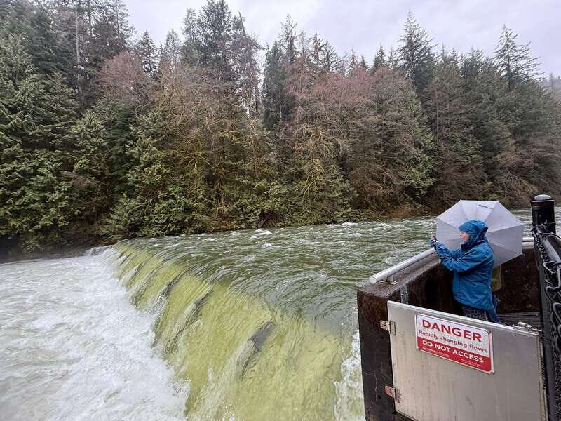 Capilano Br+Grouse Mtn+Dam+Lake&Hatcher/5in1/Small Group/Car - Final Thoughts