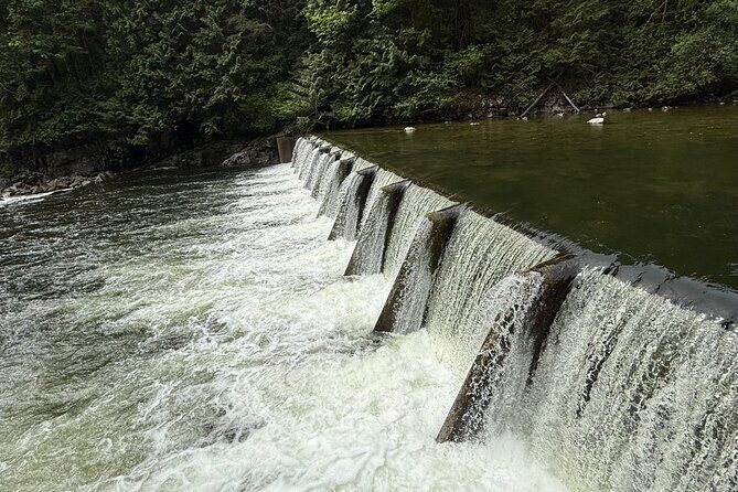 Capilano Br+Grouse Mtn+Dam+Lake+Hatchery/5in1CarTour+Small Group - Frequently Asked Questions