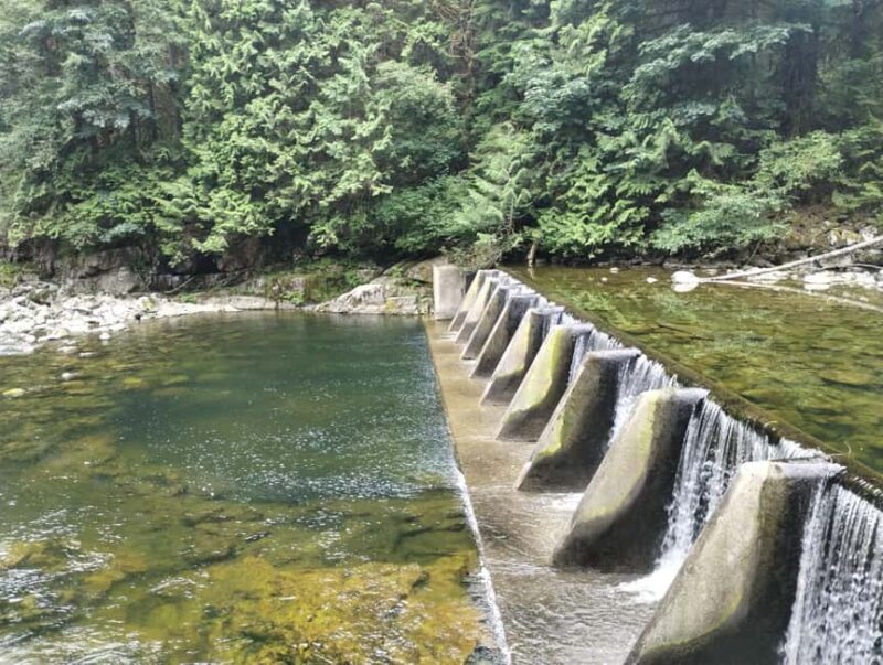CAPILANO BR+GROUSE Mtn+STANLEY P+DAM+LAKE+HATCHERY/CAR/9in1 - A Closer Look at the Tour Experience