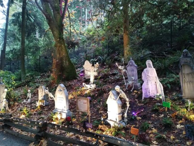 CAPILANO BR+GROUSE Mtn+STANLEY P+DAM+LAKE+HATCHERY/CAR/9in1 - What Travelers Are Saying