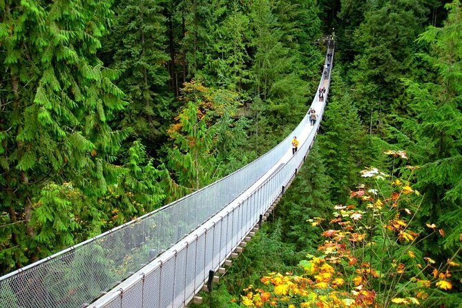 Capilano Suspension Bridge and Grouse Mountain Signature Tour - The Capilano Suspension Bridge: A Thrilling Start