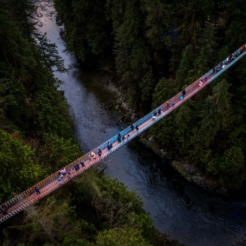Capilano Suspension Bridge Canyon Lights & 4 Top highlights - Key Points