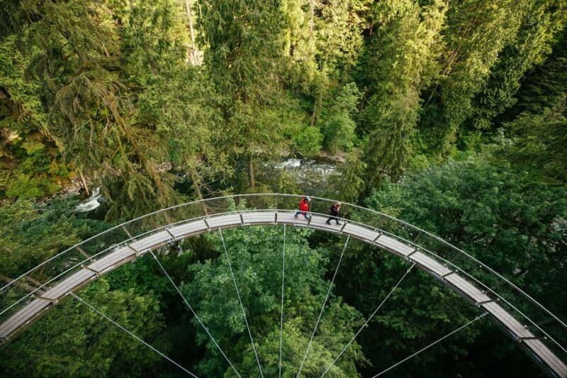Capilano Suspension Bridge Canyon Lights & 4 Top highlights - An Authentic Look at Vancouver’s Natural Charms