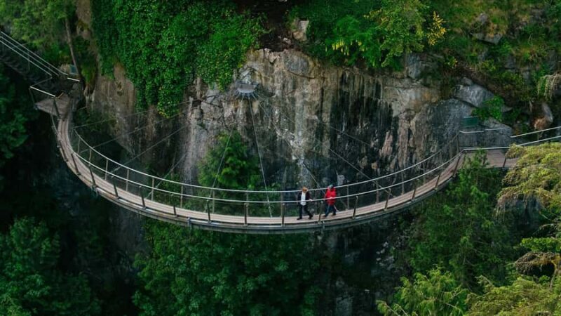 Capilano Suspension Bridge Canyon Lights & 4 Top highlights - Pricing and Value
