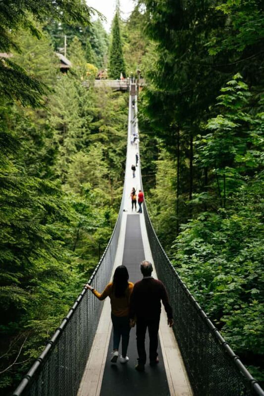 Capilano Suspension Bridge Canyon Lights & 4 Top highlights - The Sum Up