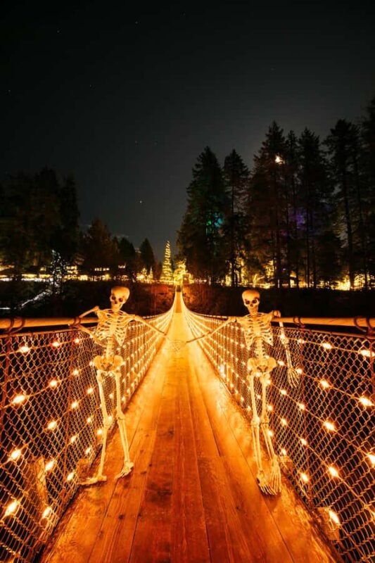 Capilano Suspension Bridge Canyon Lights & 4 Top highlights - FAQ