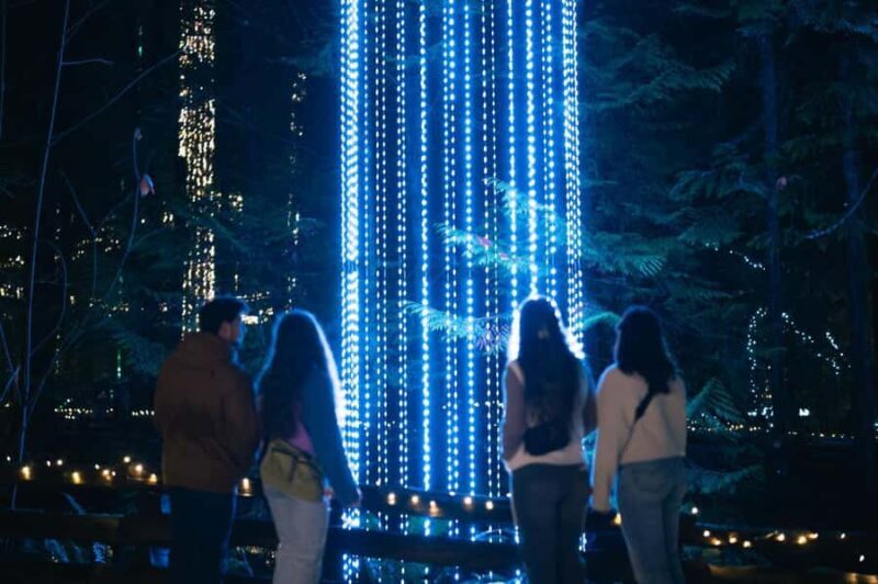 Capilano Suspension Bridge Canyon Lights Holiday Tour - Key Points