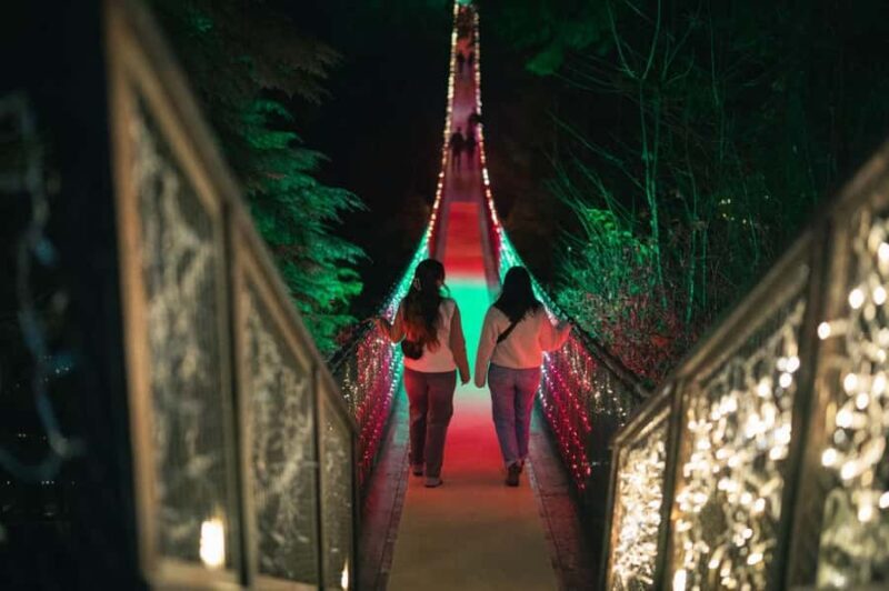 Capilano Suspension Bridge Canyon Lights Holiday Tour - Who Should Consider This Tour?