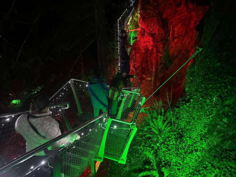 Capilano Suspension Bridge/Private/Small Group/By LUX CAR - Final Thoughts: Is It Worth It?