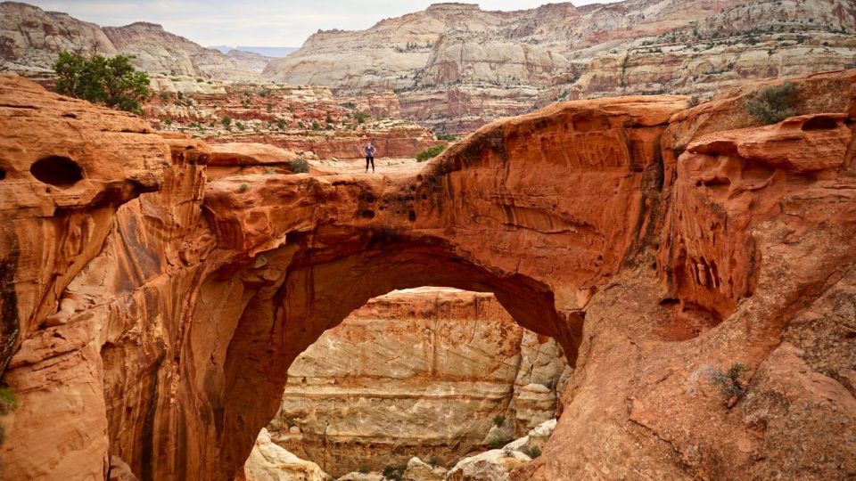 Capitol Reef Day Tour & Hike - Activity Description