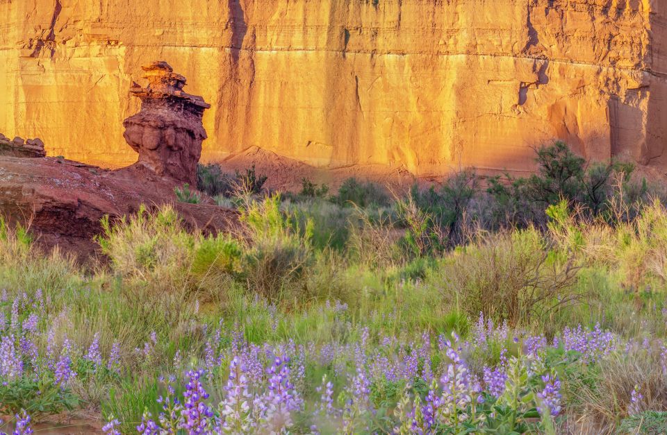 Capitol Reef National Park: Cathedral Valley Day Trip - Booking and Cancellation