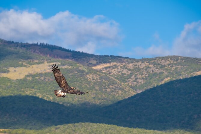 Capitol Reef National Park Self-Guided Driving Audio Tour - Noteworthy Updates and Limitations