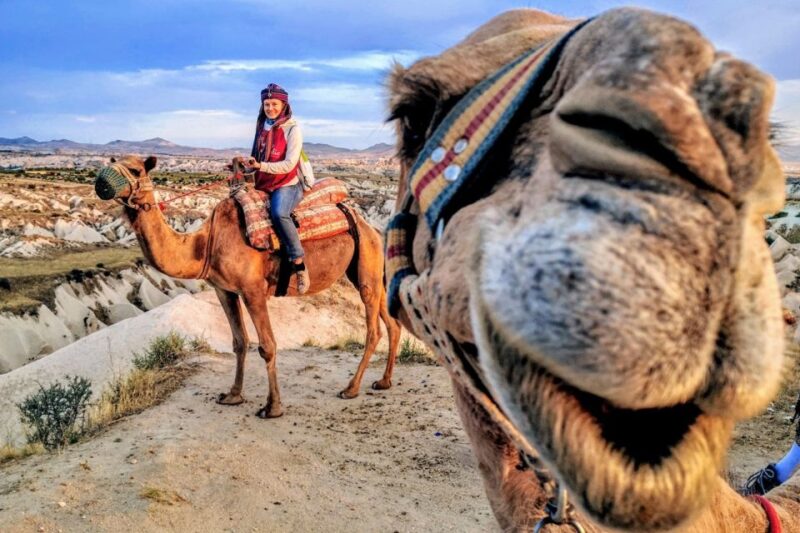 Cappadocia: Camel Safari - Tips for Your Safari