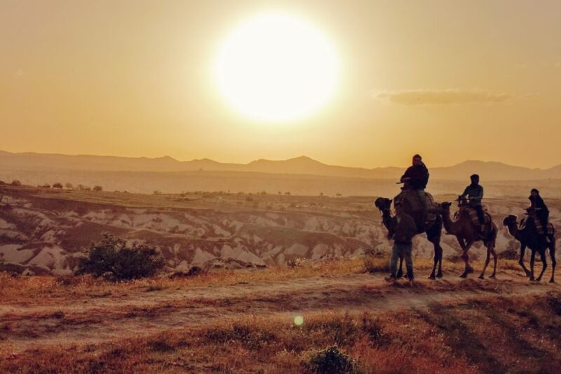 Cappadocia: Camel Safari - Booking Information