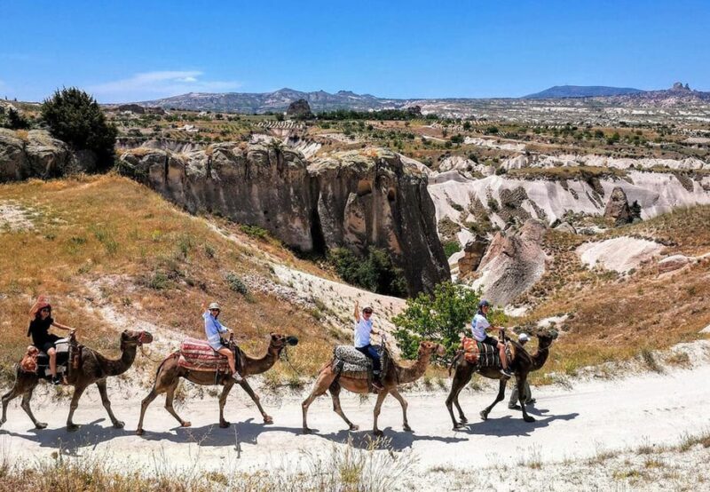 Cappadocia: Camel Safari - How to Book Your Tour